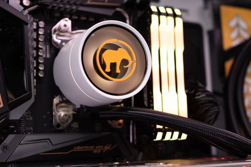 Los Champion Capitanes Arecibo