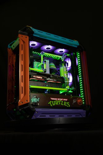Teenage Mutant Ninja PC