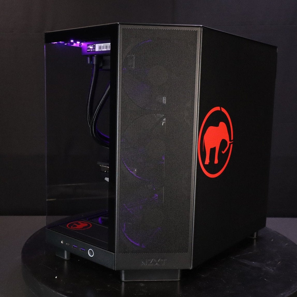 Stegodon Signature PC 2024